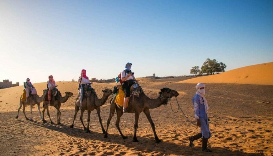 Camel Ride Experience