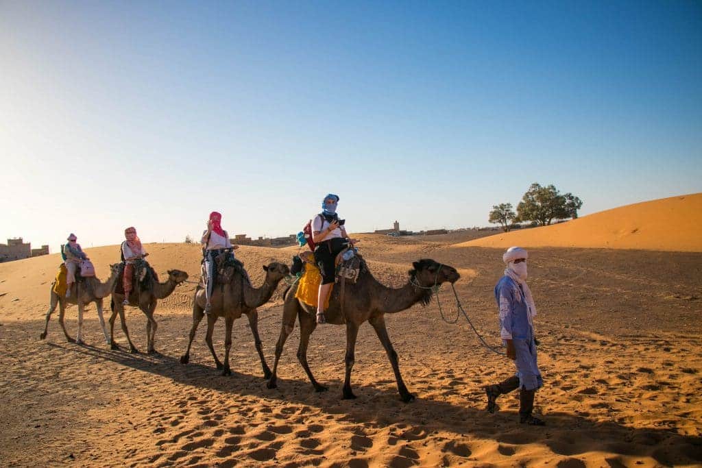 Camel Ride Experience