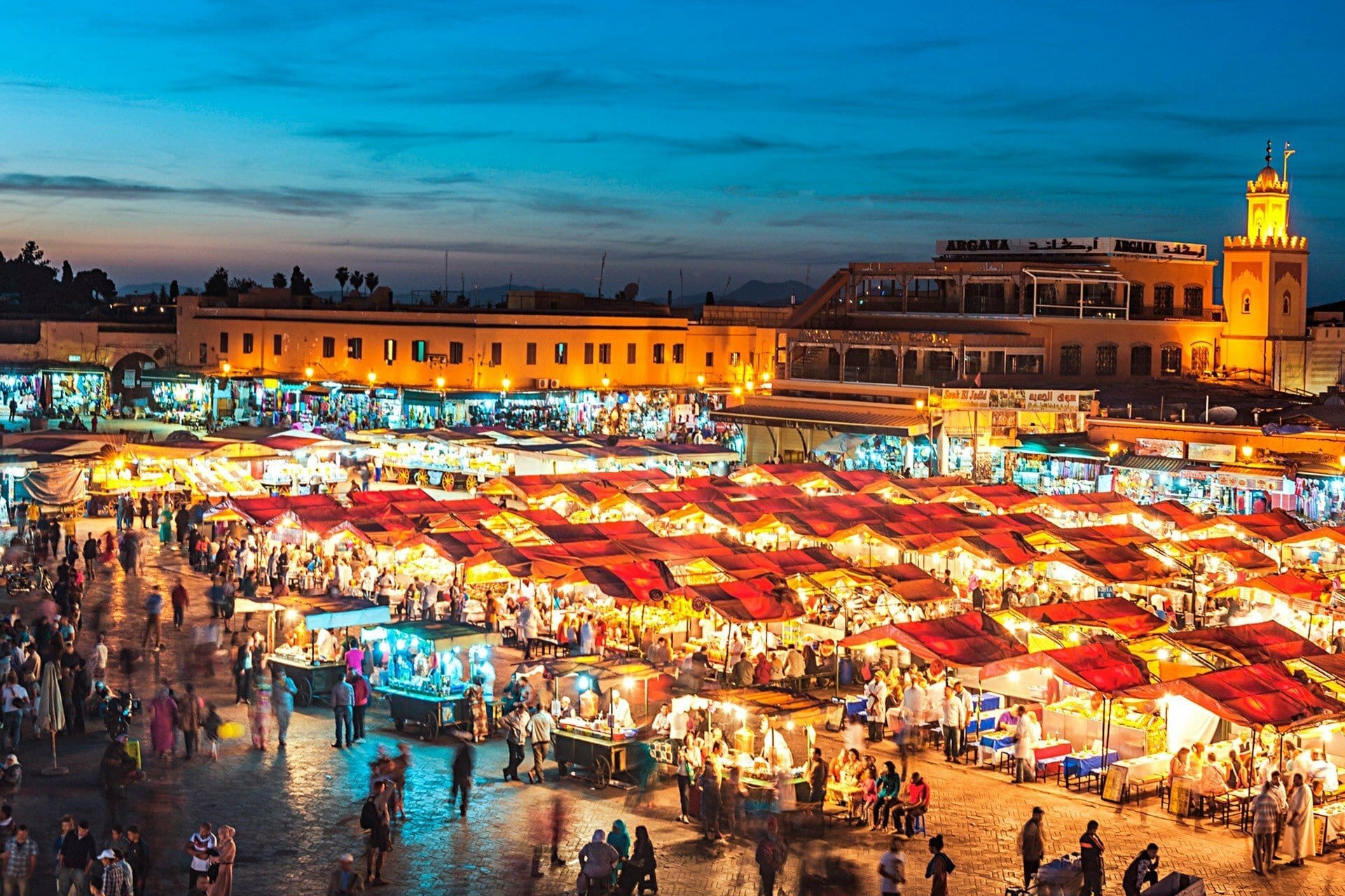 travel junkie marrakech