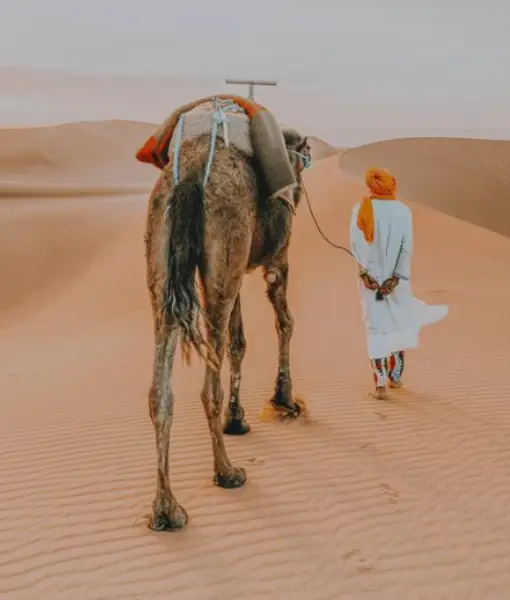 Desert Adventures