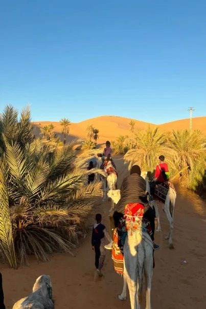 morocco tours