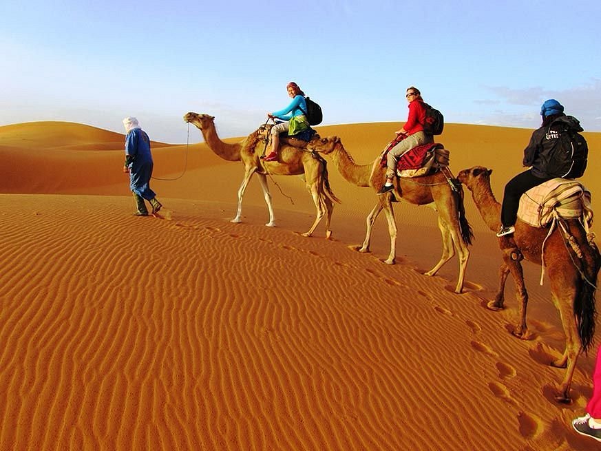 Morocco Tour Companies