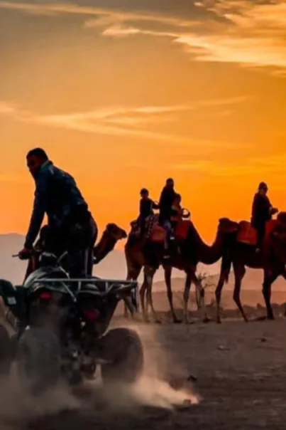 Desert Safari