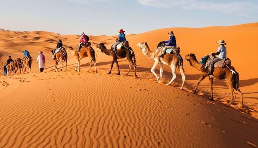 Camel Ride Experience in Morocco