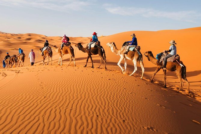 Camel Ride Experience in Morocco