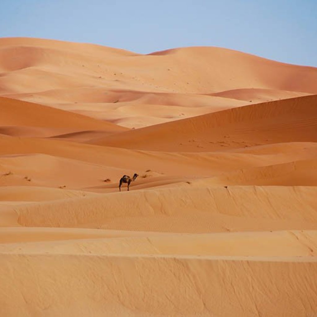 Marrakech to Fes Via Erg Chebbi Desert