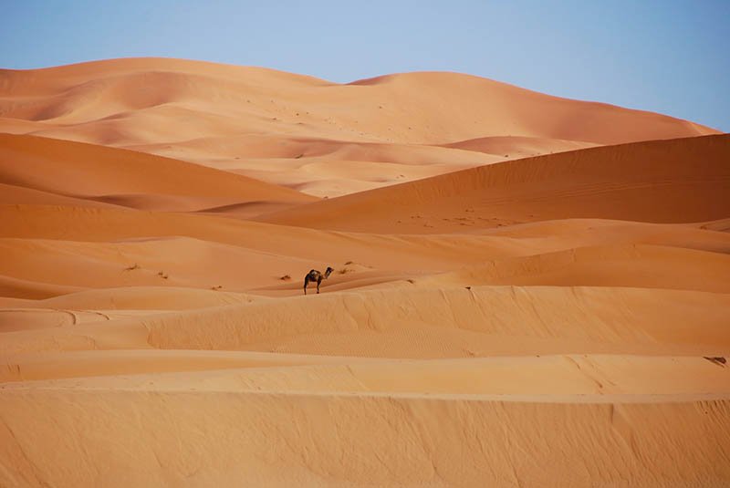 Marrakech to Fes Via Erg Chebbi Desert