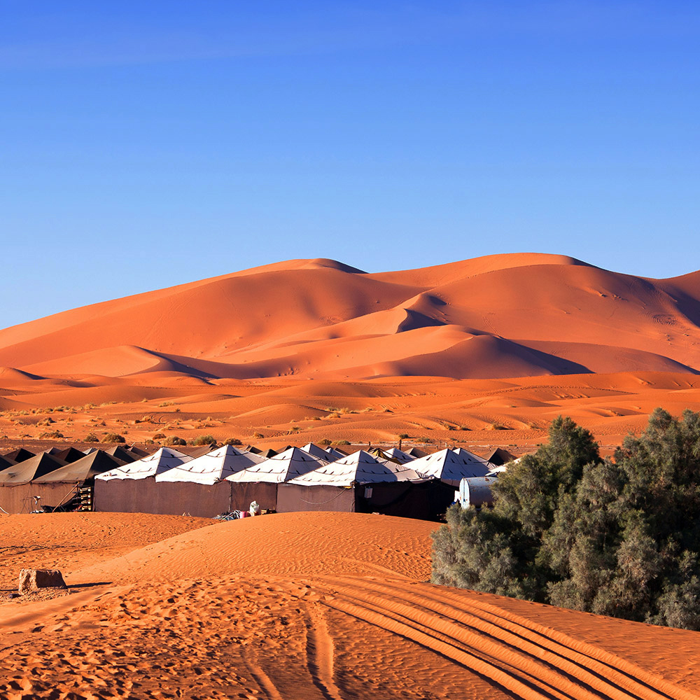 Explore Marrakech and Surrounding Deserts