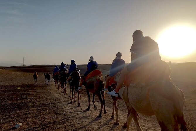 Camel Ride