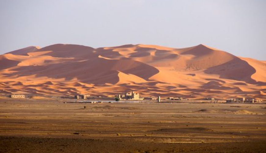 Sahara Sand Dunes