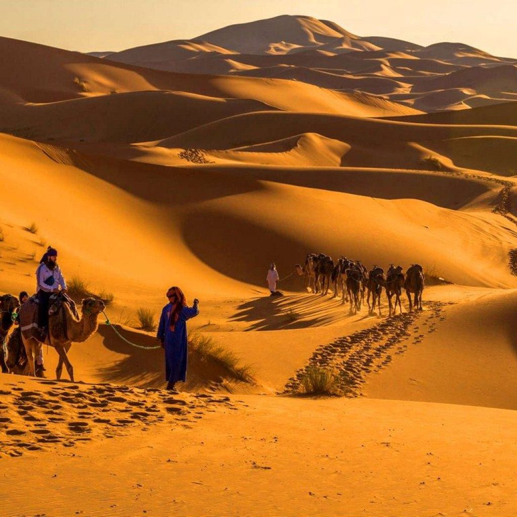 Sahara Camel Trekking