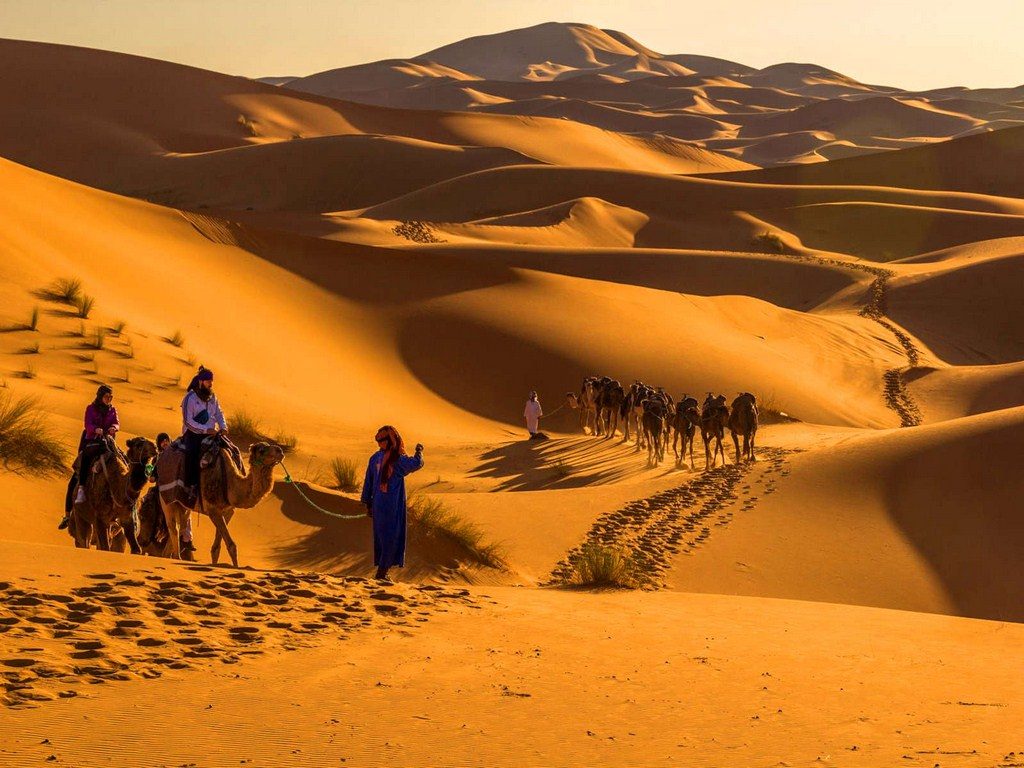 Sahara Camel Trekking