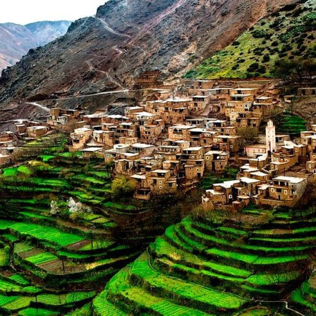 Trips to the Atlas Mountains