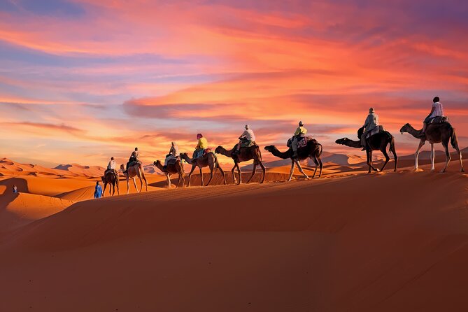 Sahara Desert Tour