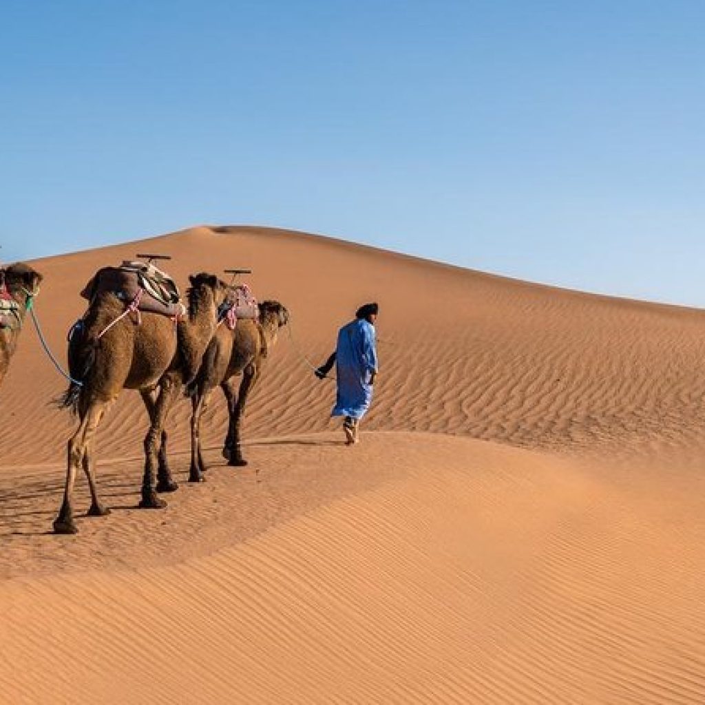 Best Tours of Morocco