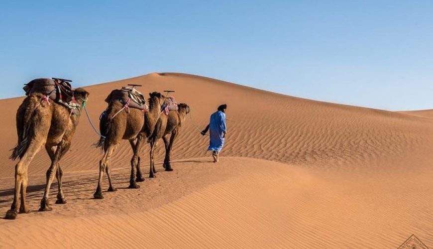 Best Tours of Morocco