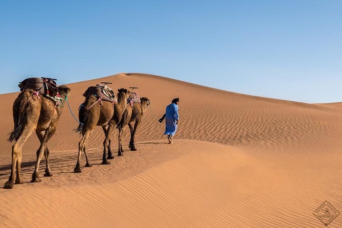 Best Tours of Morocco