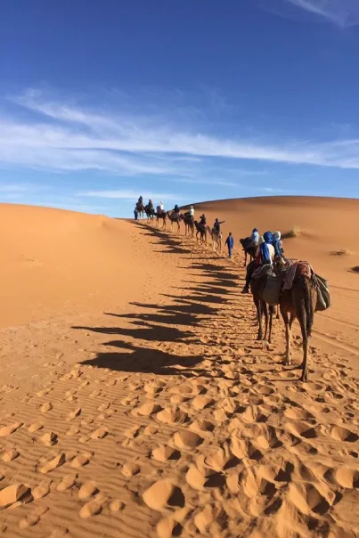 Christmas in the Sahara Desert