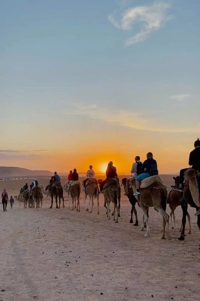 Sahara Camel Trekking