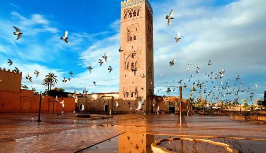 Marrakech to Casablanca Tour