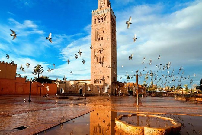 Marrakech to Casablanca Tour