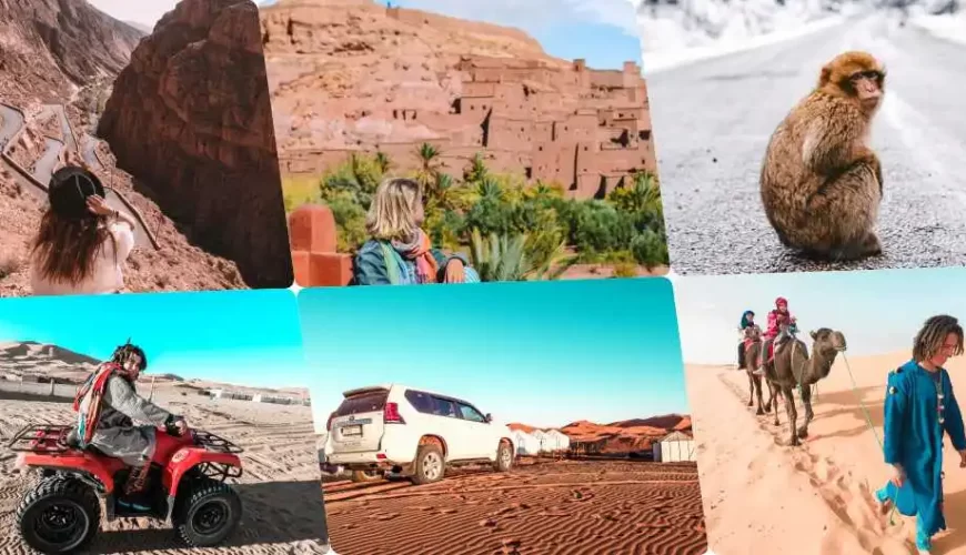 Best Tour Companies for Morocco