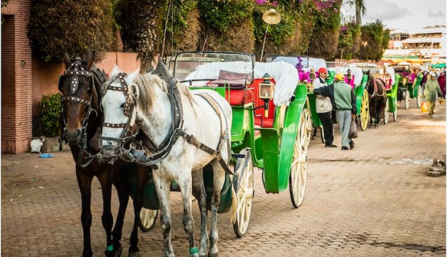 Marrakech Holiday Activities