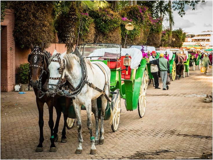 Marrakech Holiday Activities