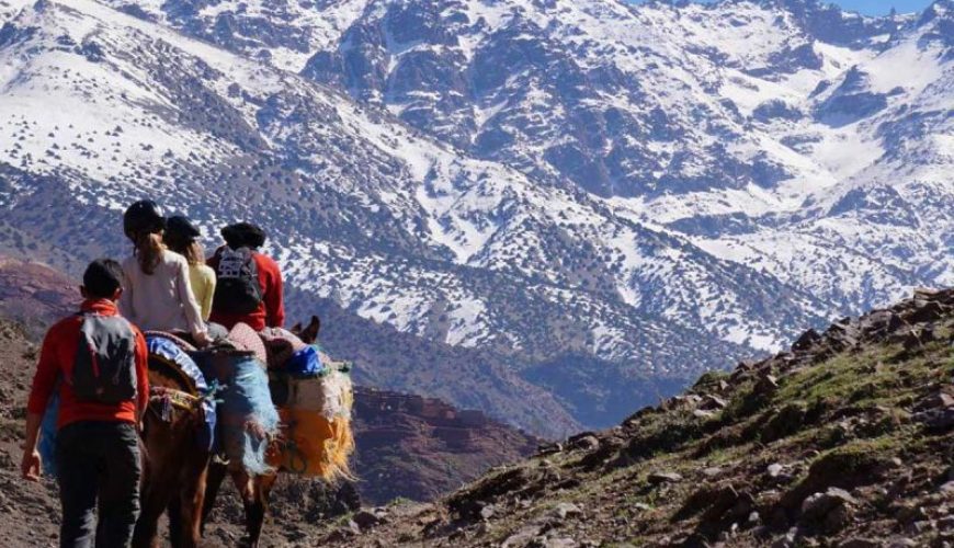 Atlas Mountains Excursions