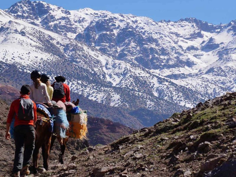 Atlas Mountains Excursions