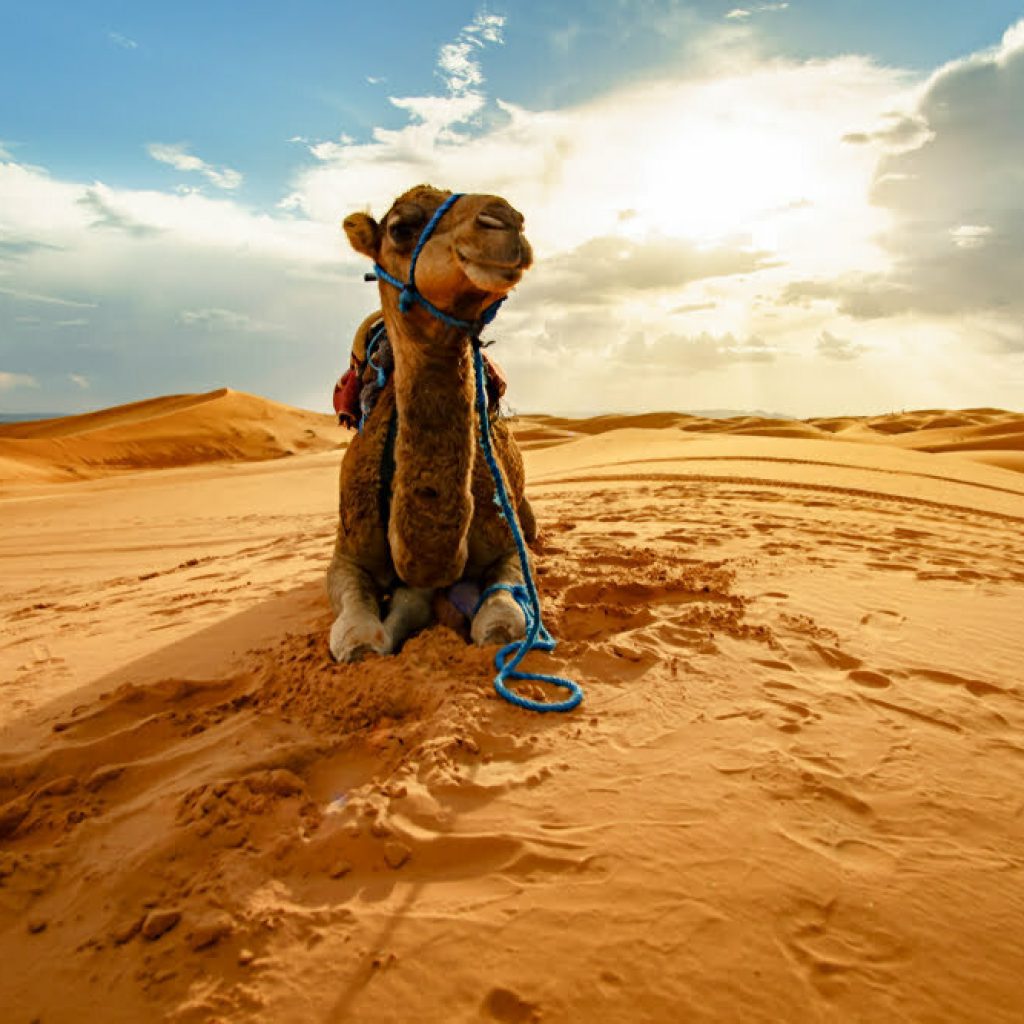 Sahara Desert Tours from Marrakech