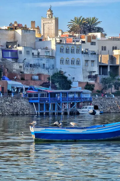 Best Tours in Morocco