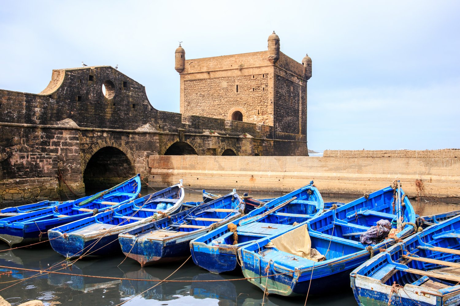 DAY TRIP TO ESSAOUIRA (Mogador)