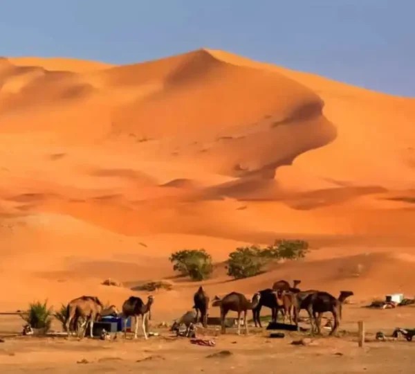 Sahara Desert